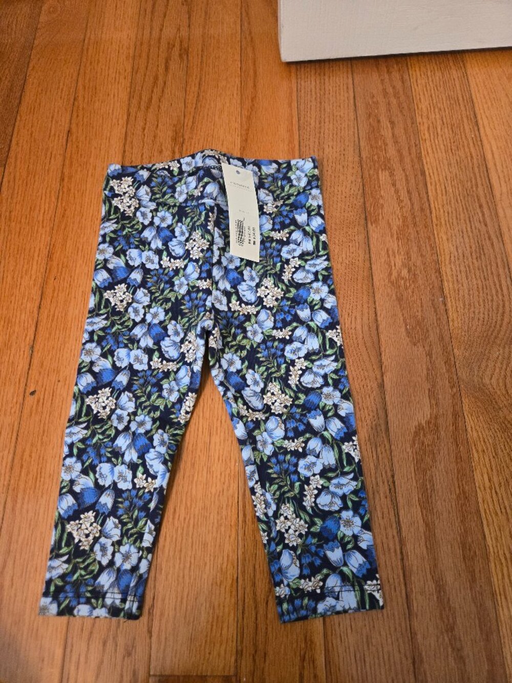 NWT Janie and Jack size 6-12 month floral pants